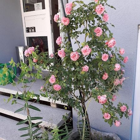 Aparthotel Zum Dom Kleinblittersdorf المظهر الخارجي الصورة